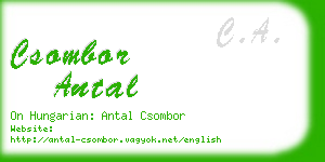 csombor antal business card